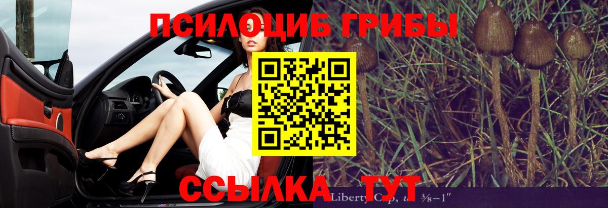 Псилоцибиновые грибы Psilocybe  Вход с VPN  закладки  Балаково 